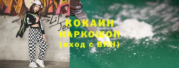 шишки Бородино