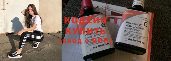 шишки Бородино