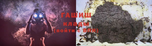 шишки Бородино