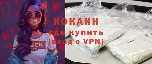 шишки Бородино