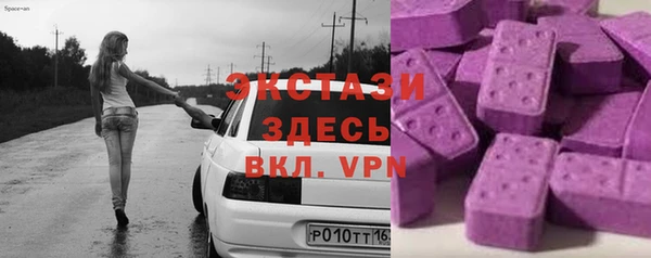 шишки Бородино