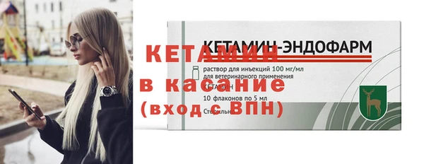 шишки Бородино