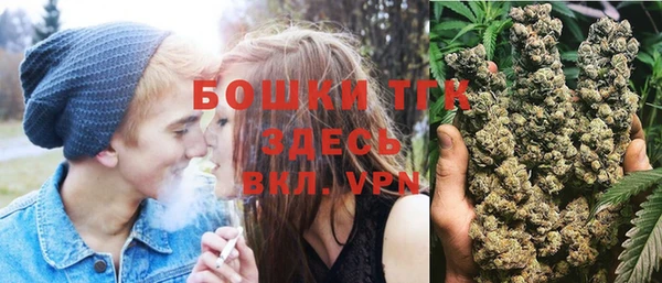 шишки Бородино