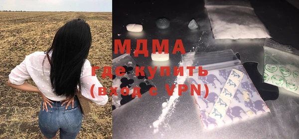 шишки Бородино