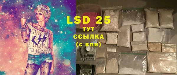 шишки Бородино