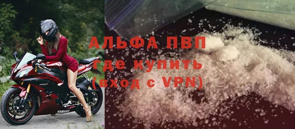 шишки Бородино