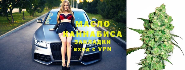 шишки Бородино
