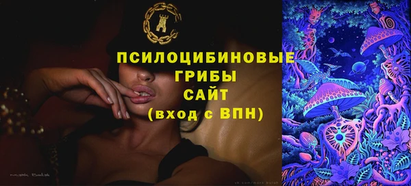 шишки Бородино