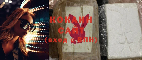 шишки Бородино