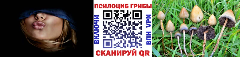 Галлюциногенные грибы мицелий  Оса 