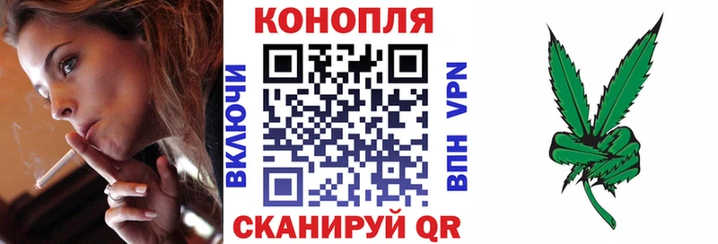 Каннабис планчик  наркота  Оса 